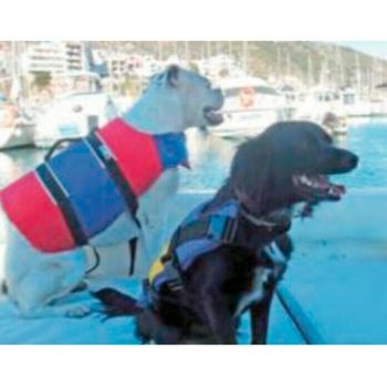 Chaleco de natación para mascotas Apto para peso: 0 - 4 kg - Rojo