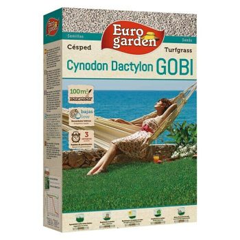 Semillas de césped Cynodon Dactylon 1 kg - 100 m2