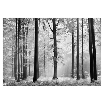 Fotomural Avalon An x Al: 366 x 254 cm - Papel