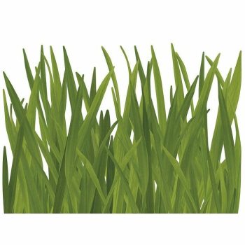 Vinilos decorativos Hierba 1 pzs. - Verde - An x Al: 48 x 68 cm