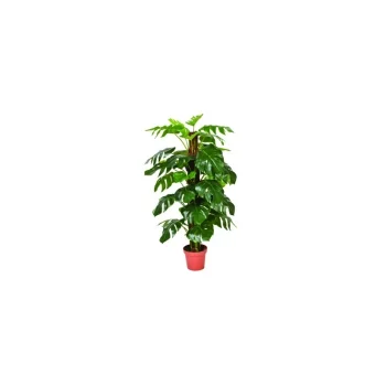 Planta Artificial 135Cm Monstera Catral