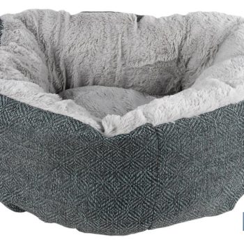 Set de 5 accesorios para mascotas