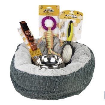 Set de 5 accesorios para mascotas