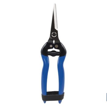 Tijeras de recolección con punta recta y longitud total de 185 mm - Especiales para jardinería |Mínimo 10 unidades